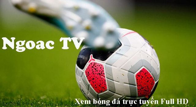 3- Các giải đấu tại kênh Ngoac TV.