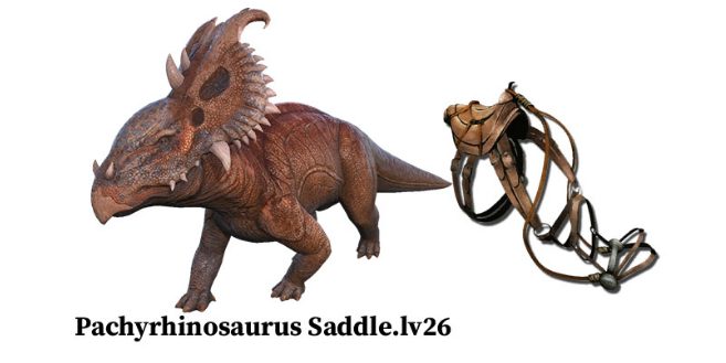 5- Yên Lv13 Ichthyosaurus Saddle.