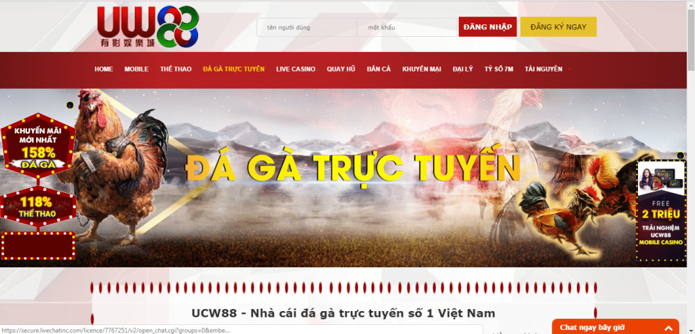 Ucw88 – nhà cái đá gà online hàng đầu Việt Nam